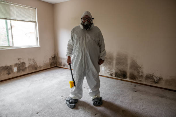 Best Residential Mold Inspection & Testing  in Portland, TX